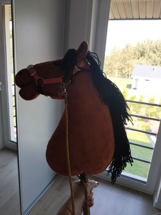 Hobby horse rudy