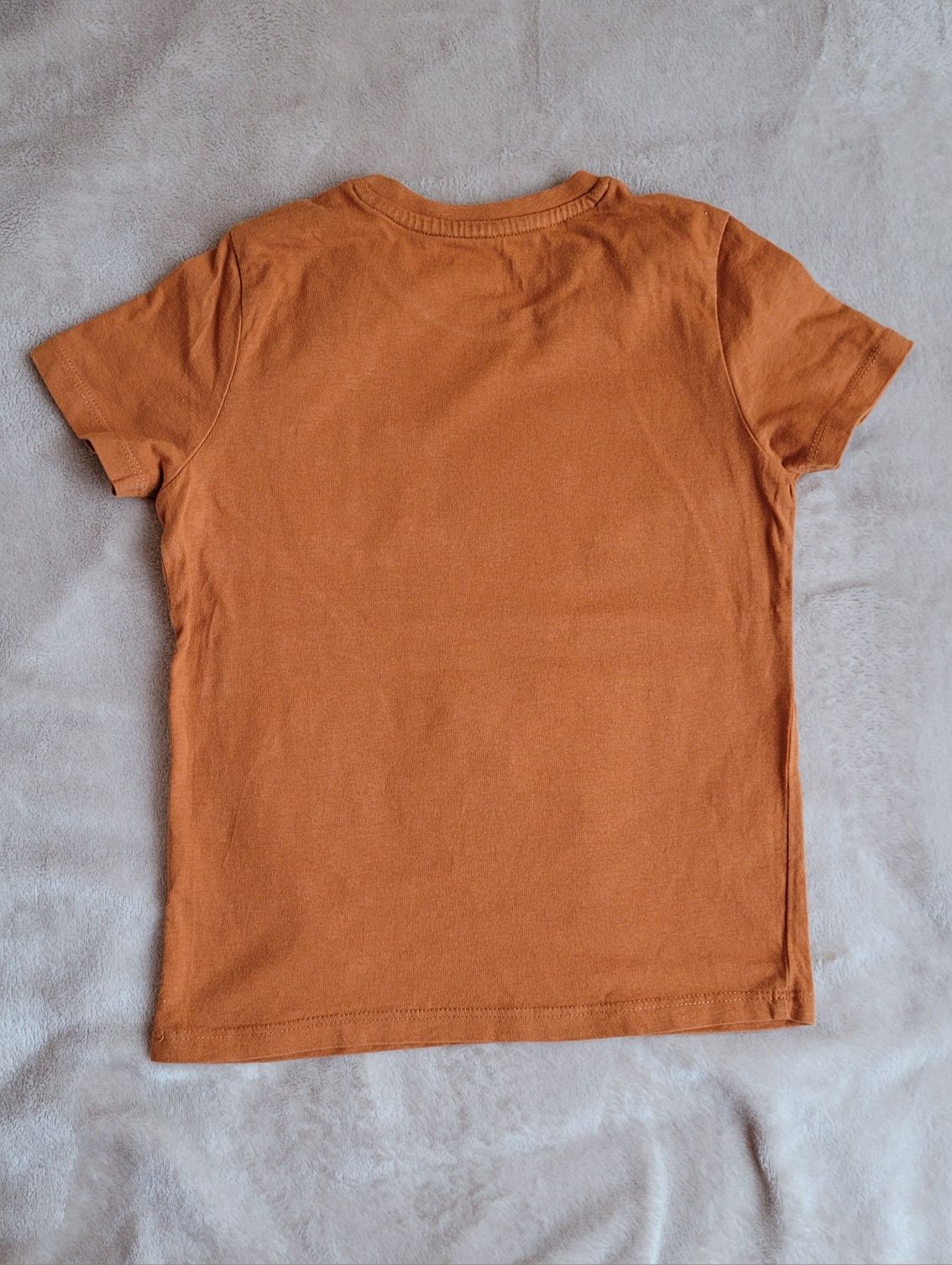 Chłopięcy T-shirt 104 bluzka koszulka wheeler krokodyl na kładzie