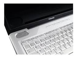 Toshiba L500 D-118