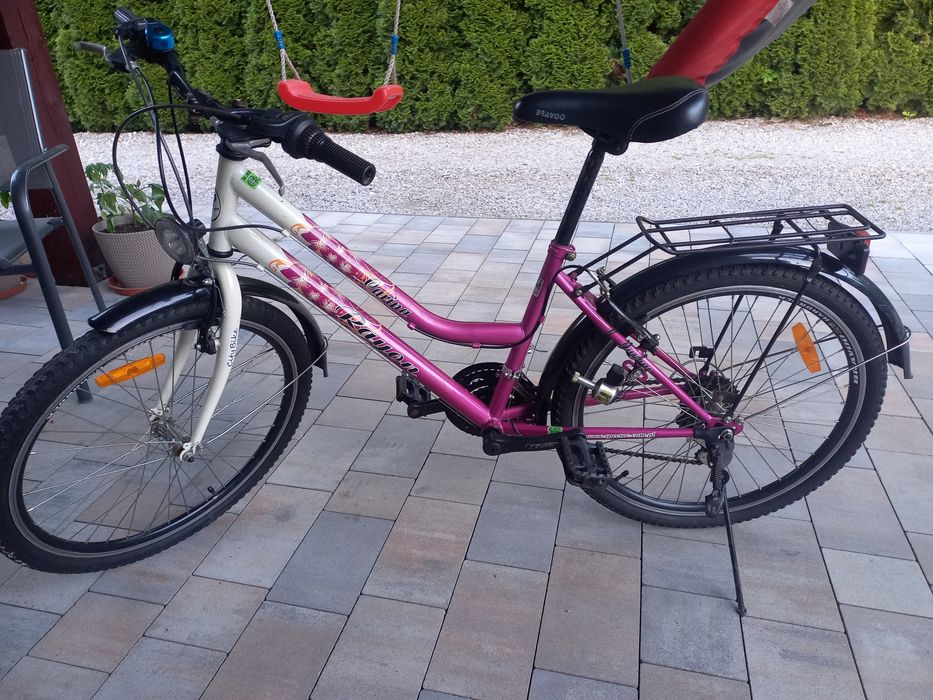 Rower dla dziewczynki Carina 24
