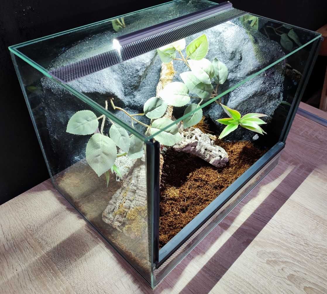 Terrarium szklane nr36 40/30/30 dla pająka ptasznika DOSTĘPNE