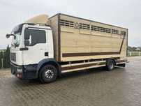Man TGM 12.280 ( do bydła , żywca , zwierząt ) PLAVAC