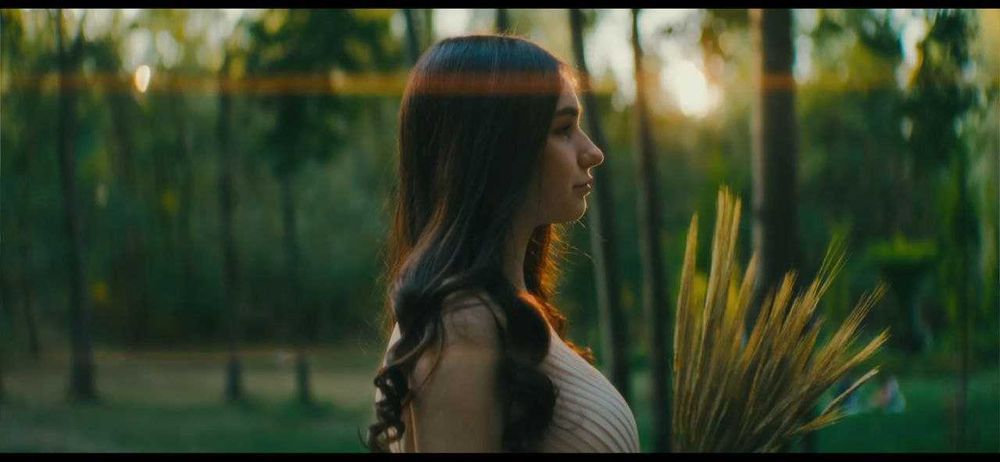 Blazar Mantis PL+EF 35 Т2.0 1.33х(1.39)  anamorphic фулфрейм