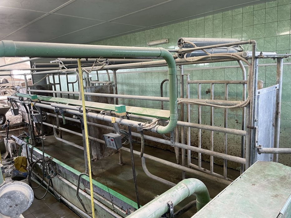 Sprzedam halę Udo Auto Tandem 2x3 GEA Wesrfalia