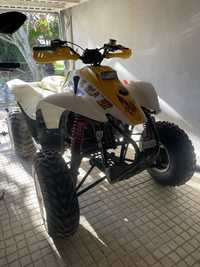 Polaris trail 250 2t (Preço negociável)