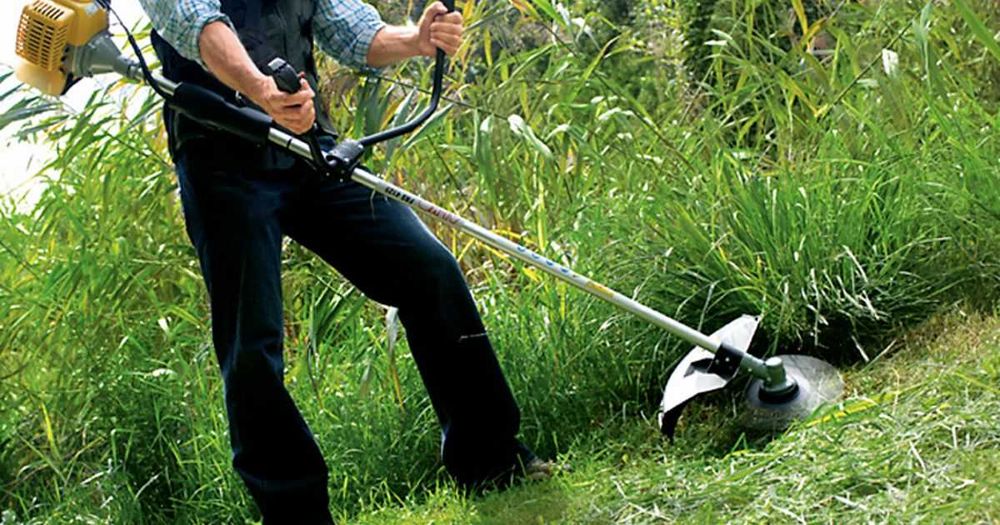 Покосим траву. Скос травы. Покос травы. Уборка участка. Спил деревьев.