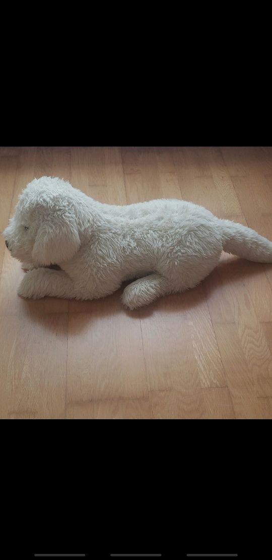 Cão de peluche (80 cm)