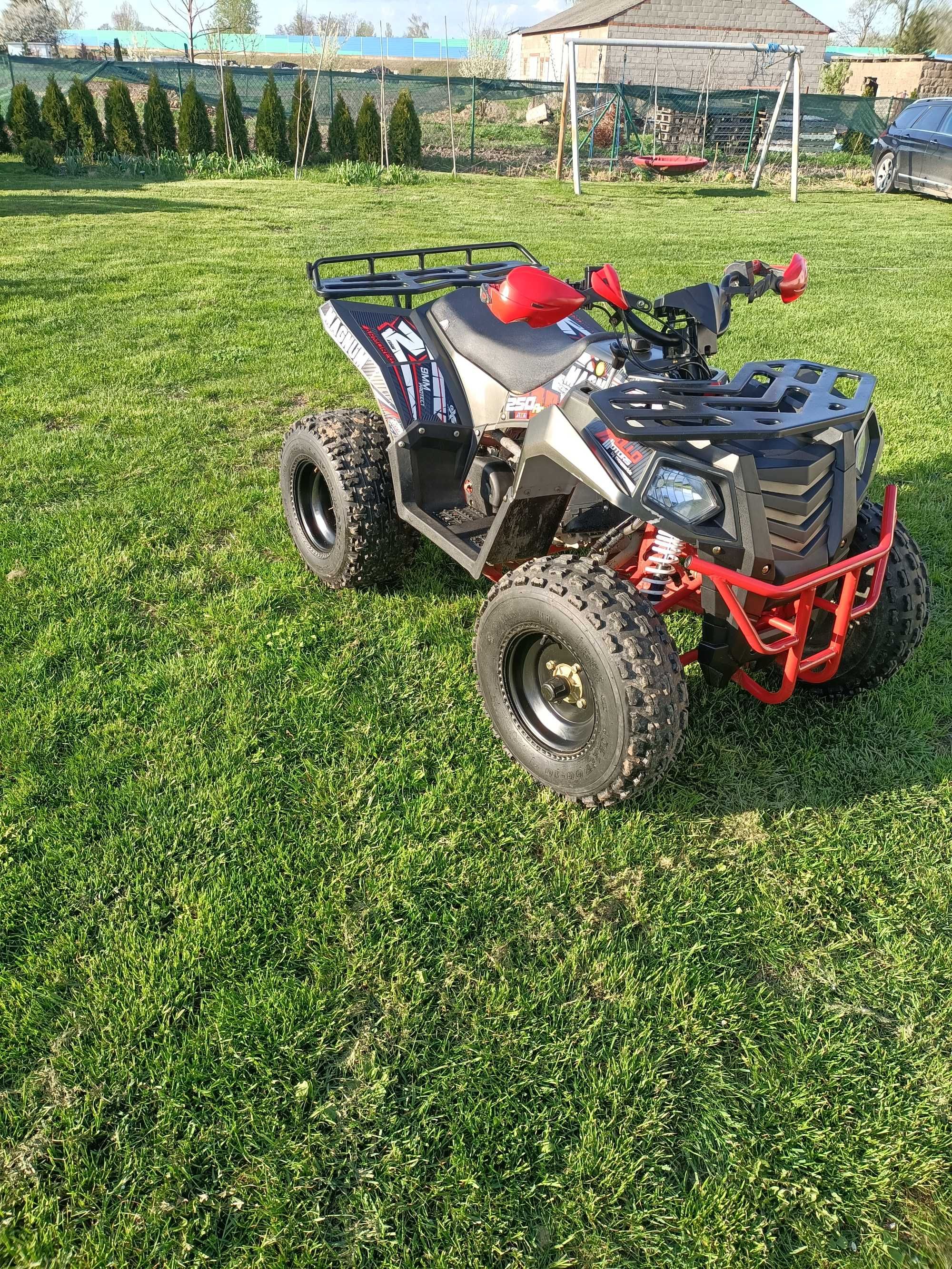 Quad Apollo Magnum