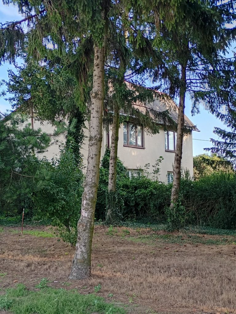 Dom wolnostojący