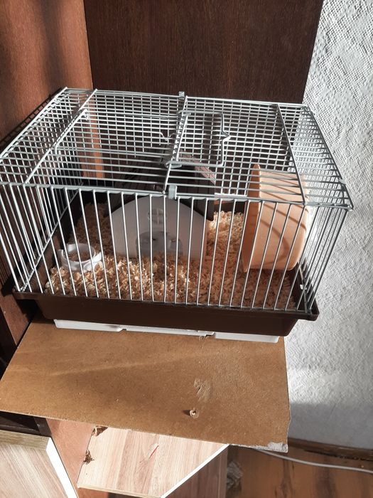 Klatka  dla chomika