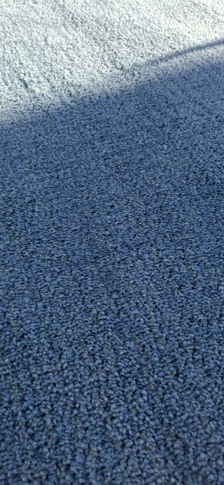 Tapete de sala azul