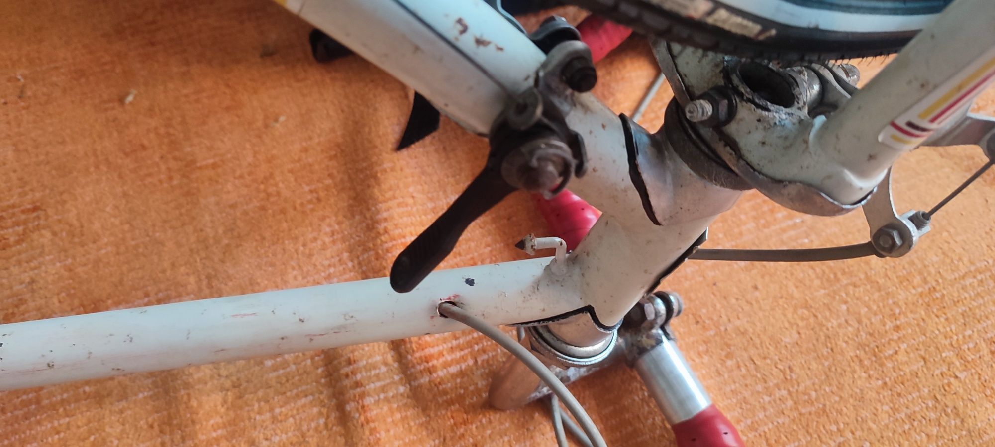 Bicicleta Aliforte clássica