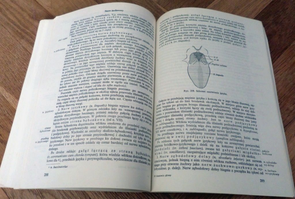 ANATOMIA GŁOWY DLA STOMATOLOGÓW 1985 wyd. V podręcznik dla dentystów