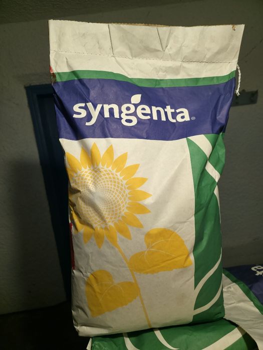 Насіння соняшнику ІРІСА СИНГЕНТА оригінал