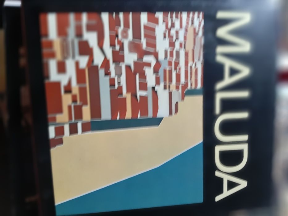 MALUDA Livro com pref Vieira da Silva