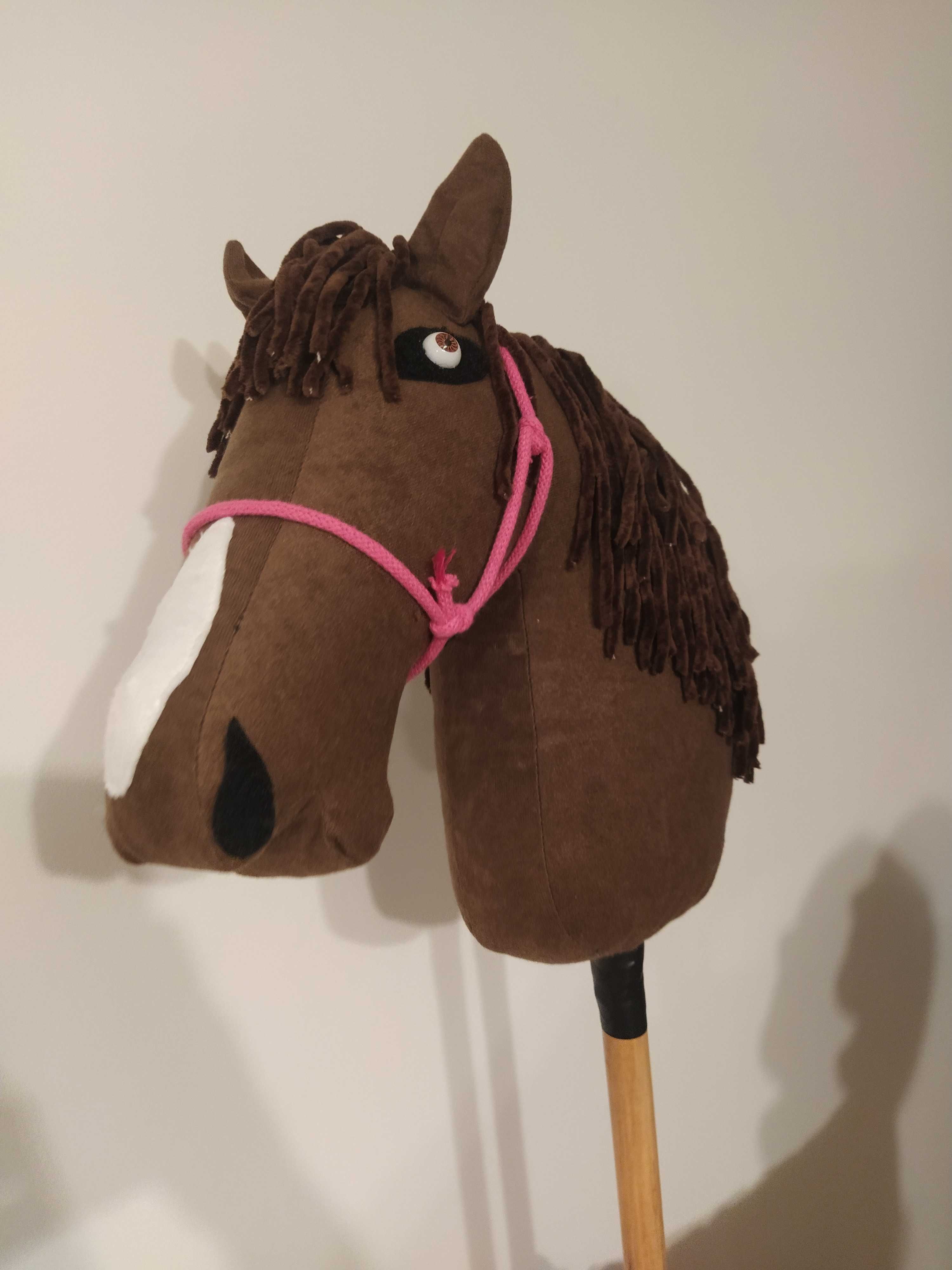 Konie Hobby Horse