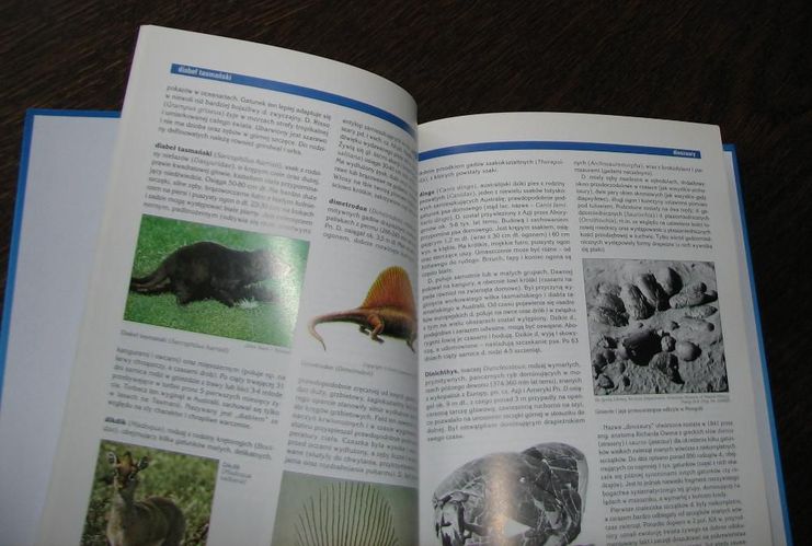 Encyklopedia Audiowizualna Britannica - Zoologia cz.1 (z płytą DVD)