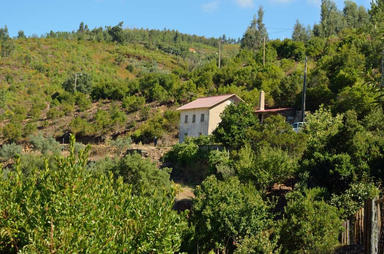 Casa antiga e terreno