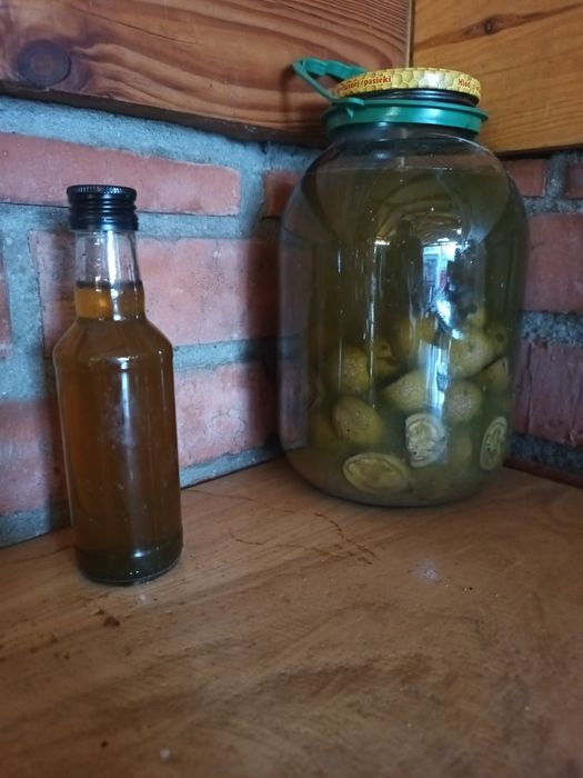 Orzech włoski odrobaczanie wyciąg % 200ml