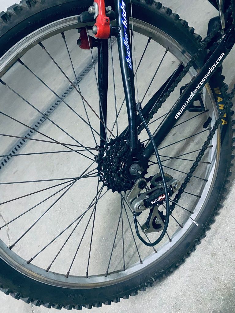 Bicicleta junior 6 aos 14 anos