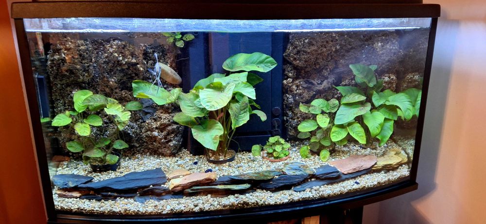 Vendo Aquario 200 litros personalizado