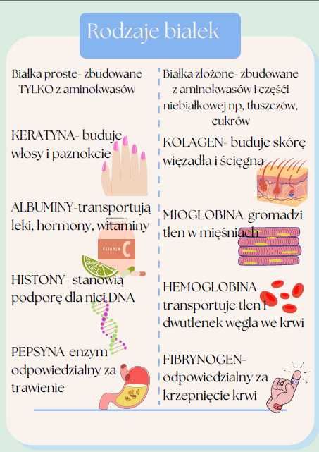 Korepetycje z Biologii - Nauczyciel z pasją zaprasza!