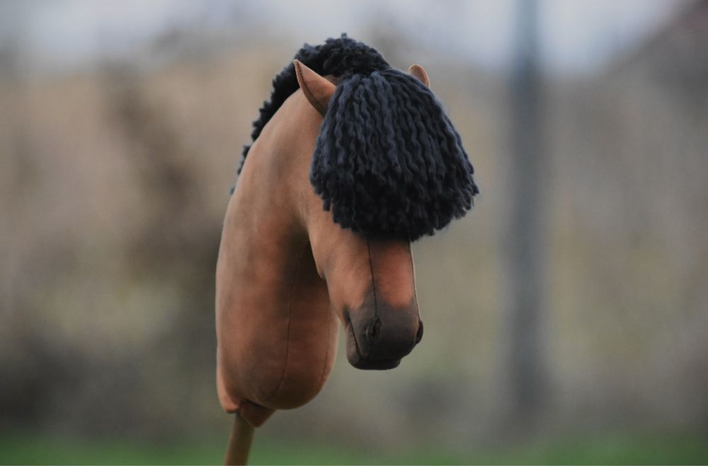 Hobby horse by aternon