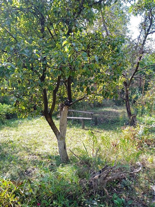 Продаю дачу Соколовський масив