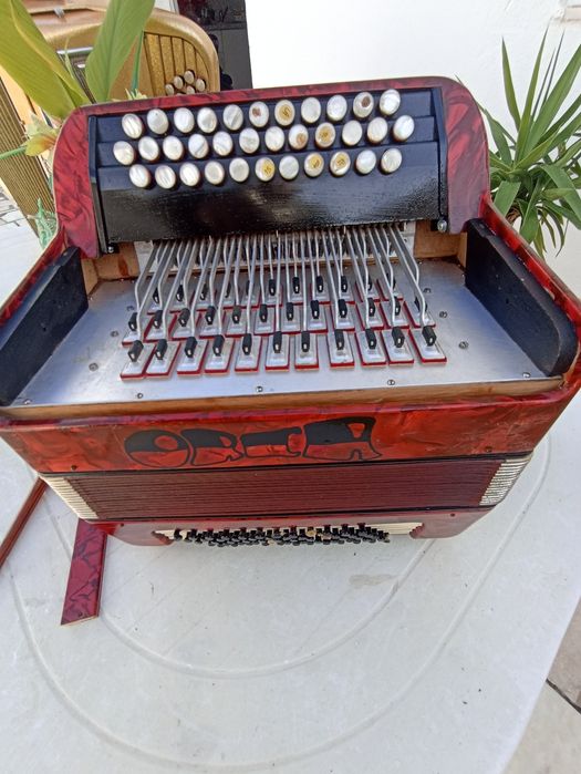 Acordeon Orca 2 voz com acessórios