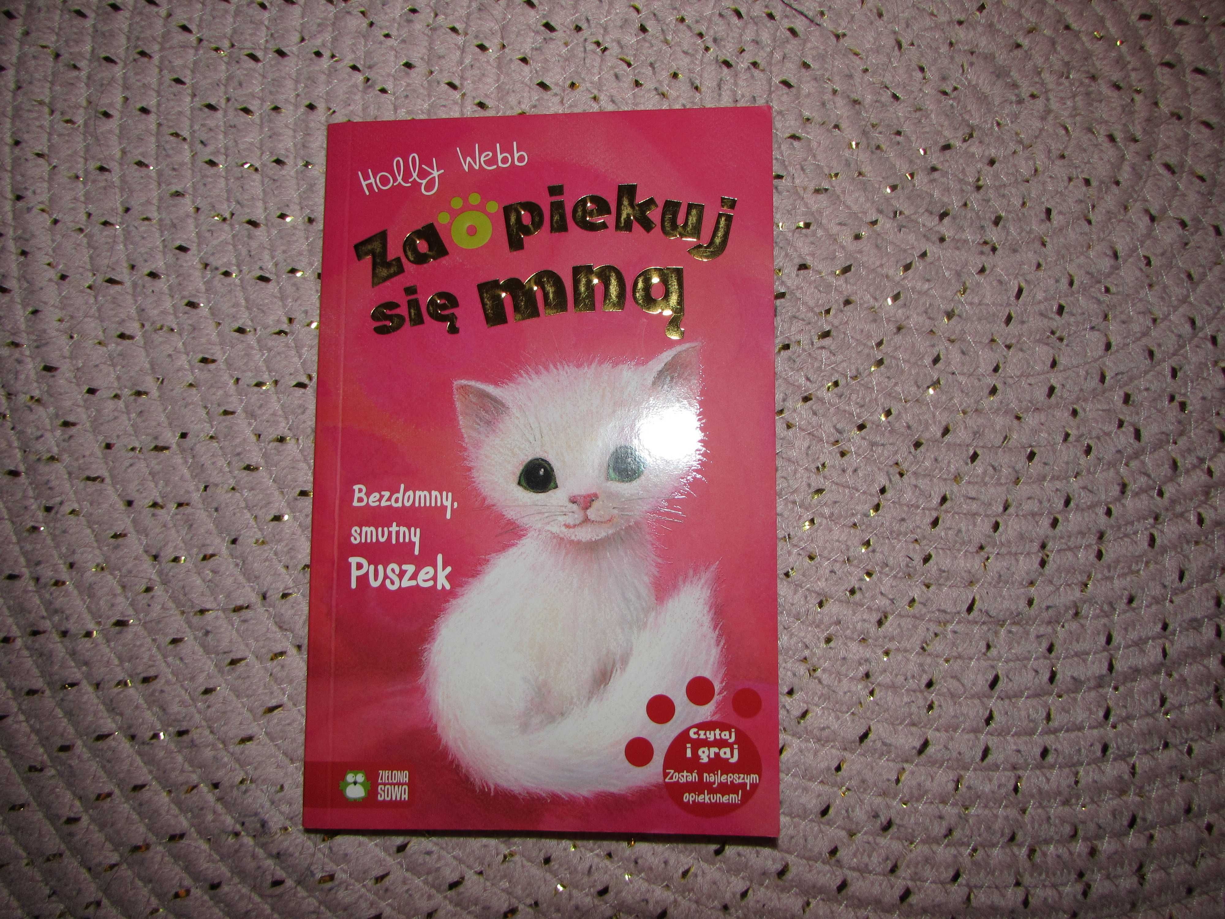 Zaopiekuj się mną Bezdomny smutny puszek Holly Webb