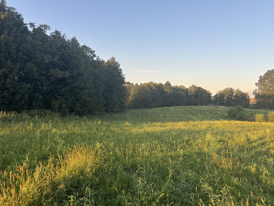 Dzialka z linią brzegową rzeczki