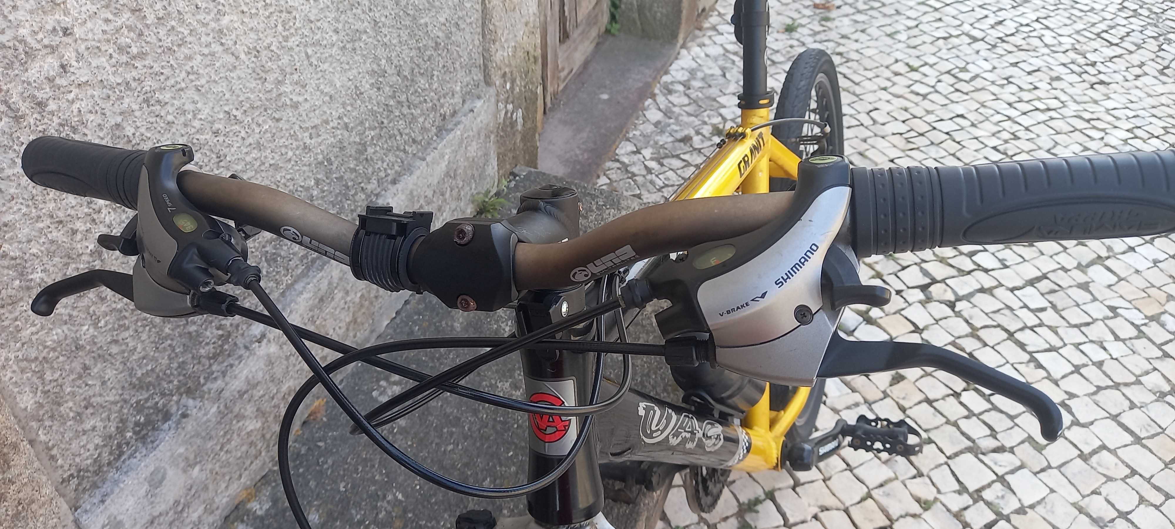 Bicicleta de homem "tipo montanha"