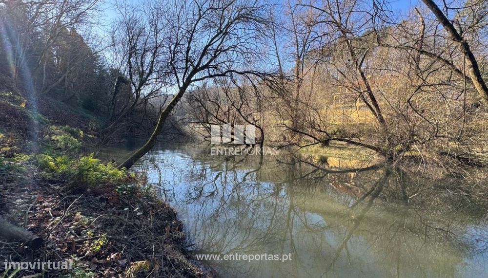 Venda Quinta, Santo Isidoro e Livração, Marco de Canaveses