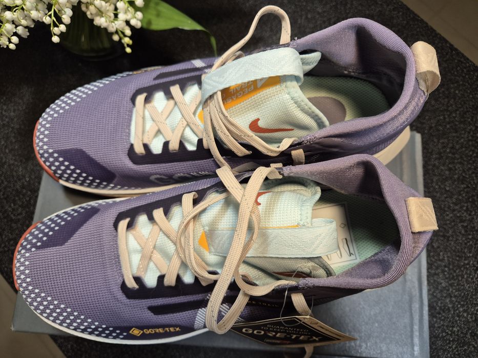 Кросівки Nike React Pegasus Trail 4 Gore-Tex Waterproof Trail Running