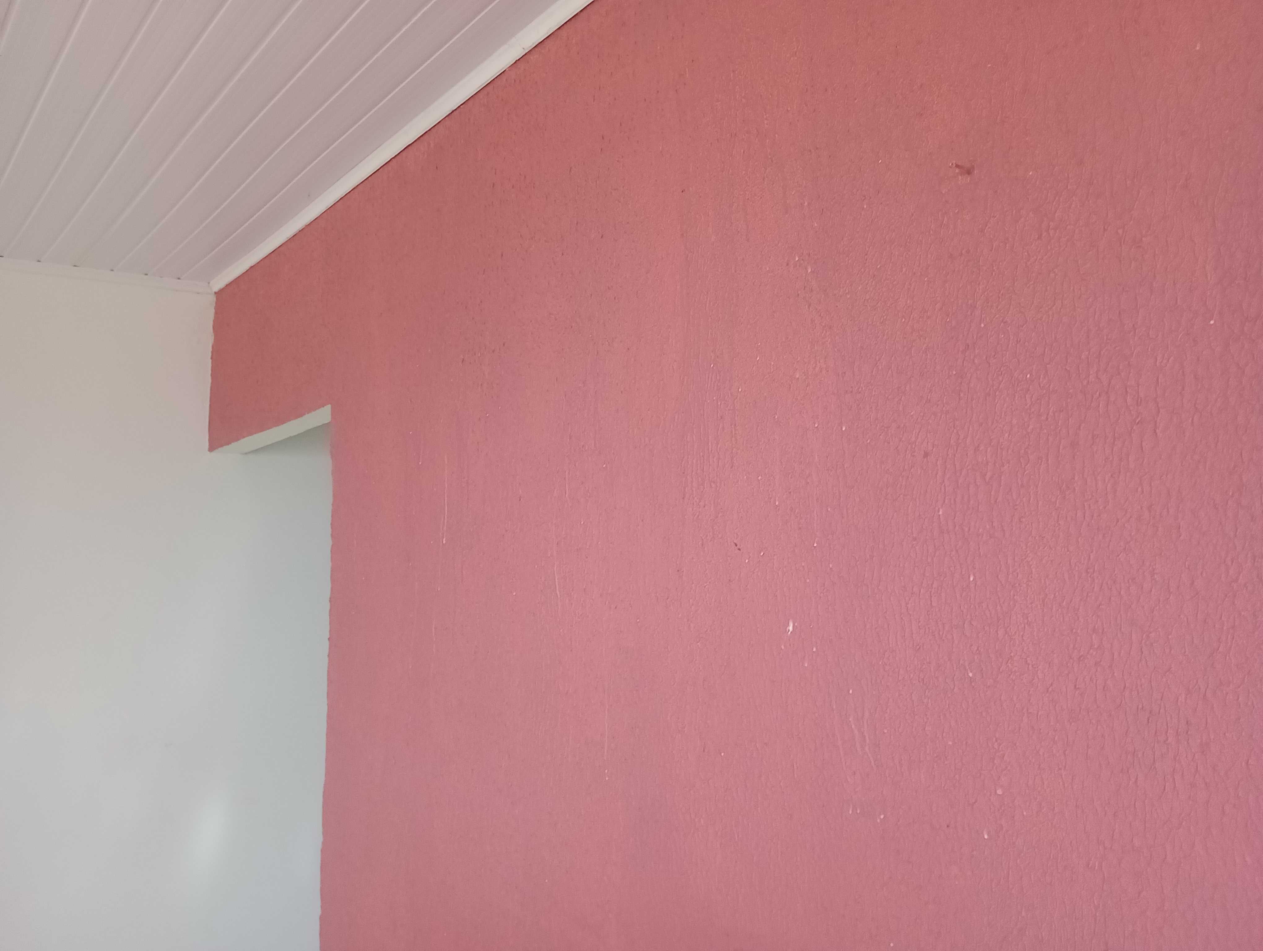 Pintor profissional