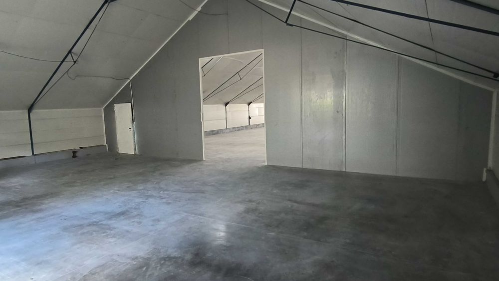 Wynajmę Halę Magazyn 600 m2 Białołęka bezpośrednio.