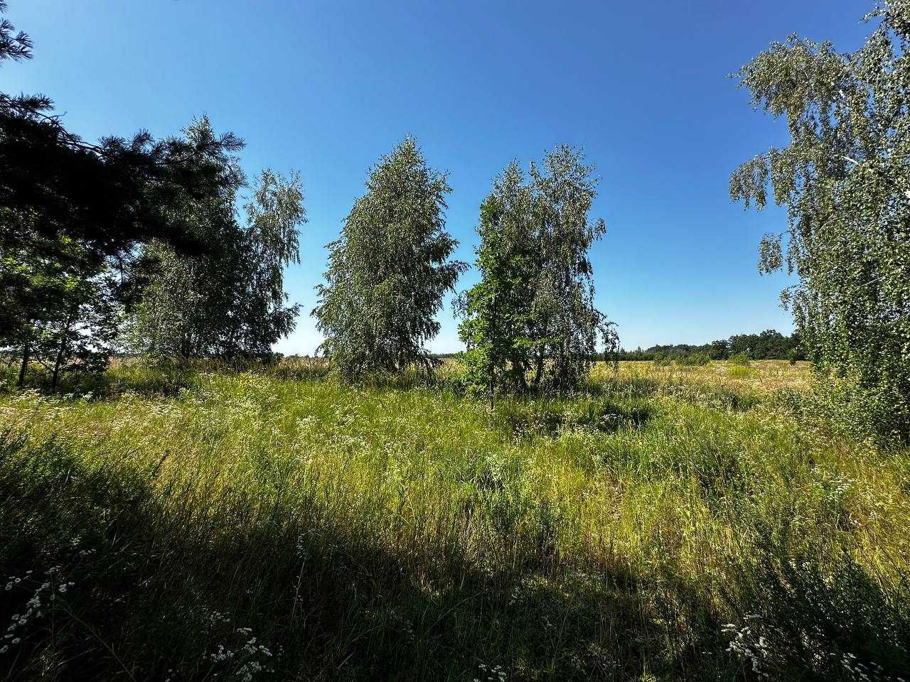Продаж земельної ділянки 38,59 соток (ОСГ). 50 метрів від траси.ID:678