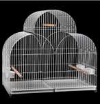 Gaiola dupla papagaio, caturra, aves grandes