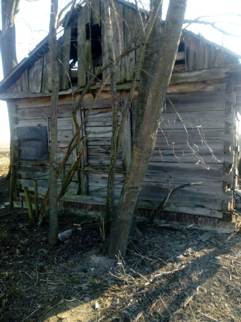 Sprzedam komórkę drewnianą