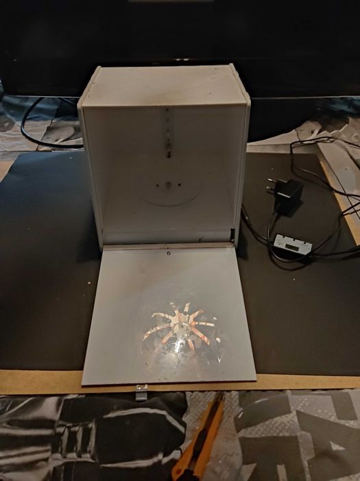 Maquina sunlu de cura resina 3d