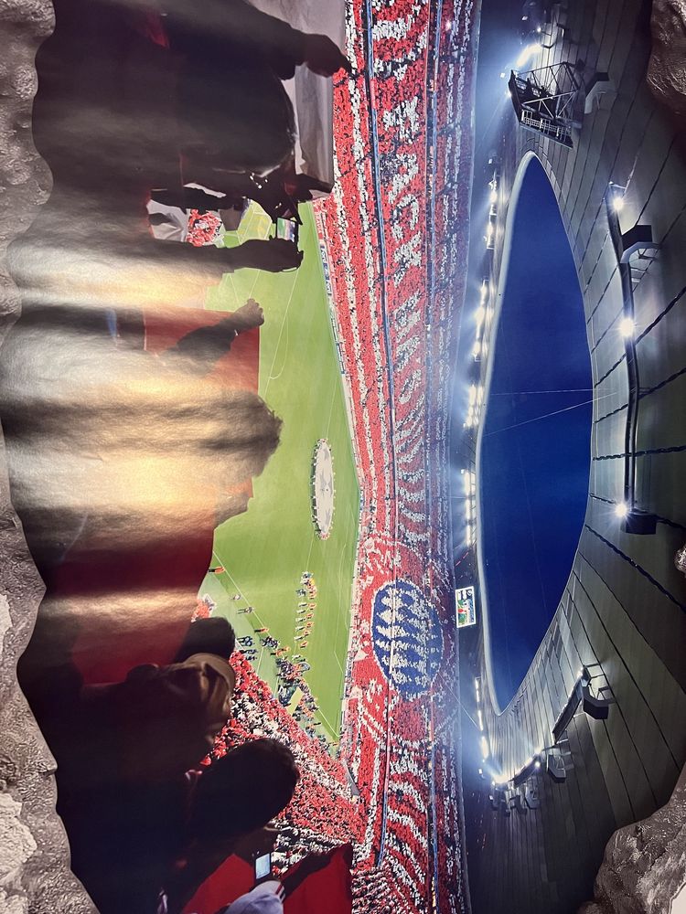 FC Bayern Tatuaż ścienny 3D motyw stadionu