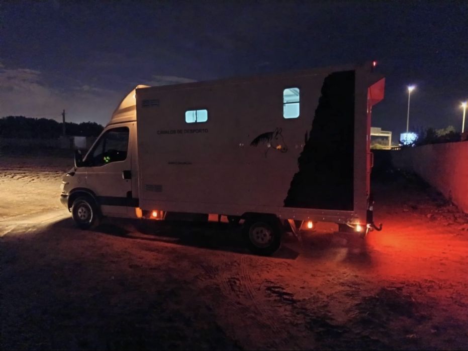 Transporte de cavalos