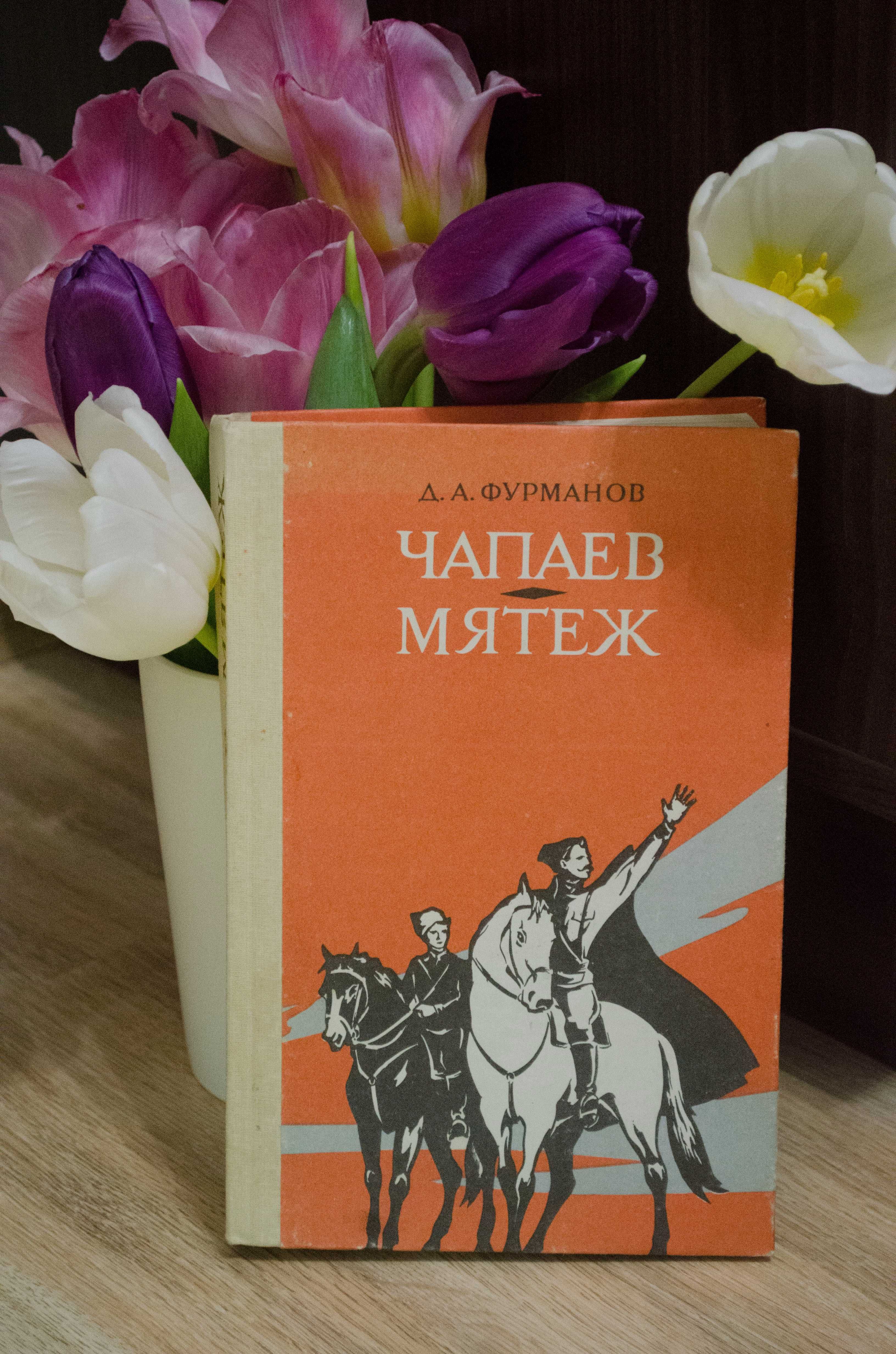 Книга "Чапаев. Мятеж"