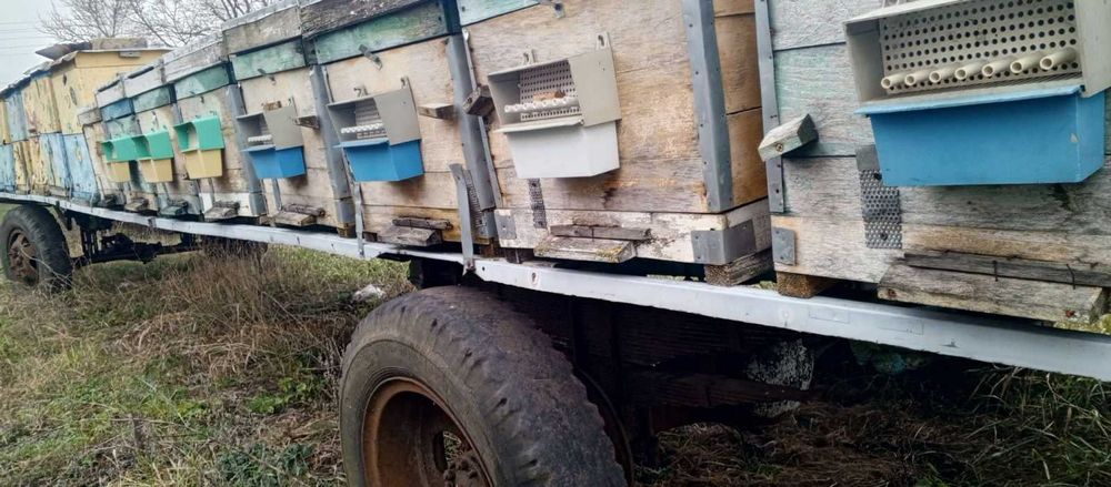 Платформа для бджіл