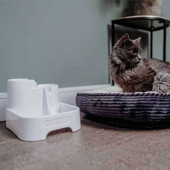 Cat Mate poidełko fontanna