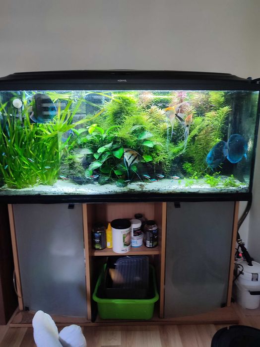 Akwarium 240 litrów