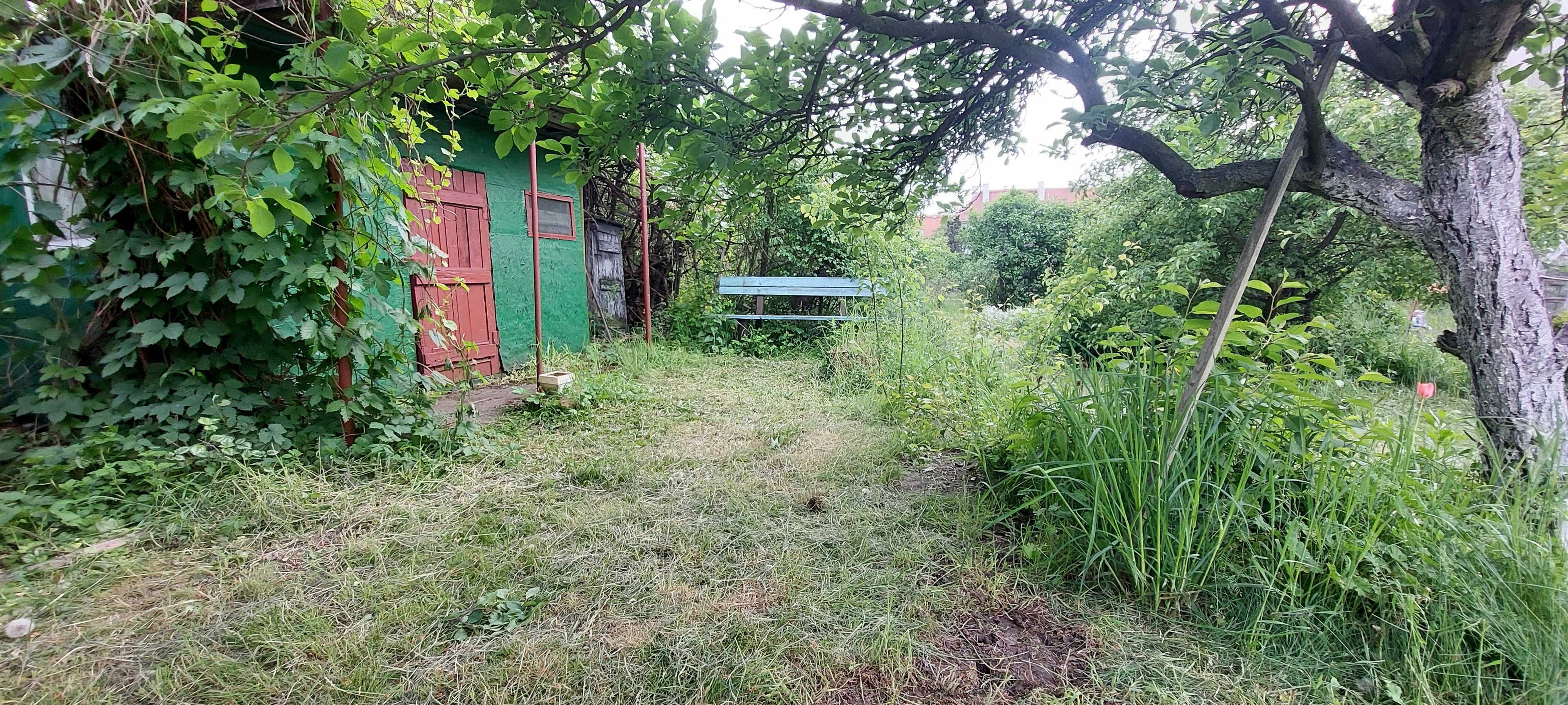Ogródek działkowy ROD "Lepsze Jutro" ul.Daszyńskiego/Jaracza