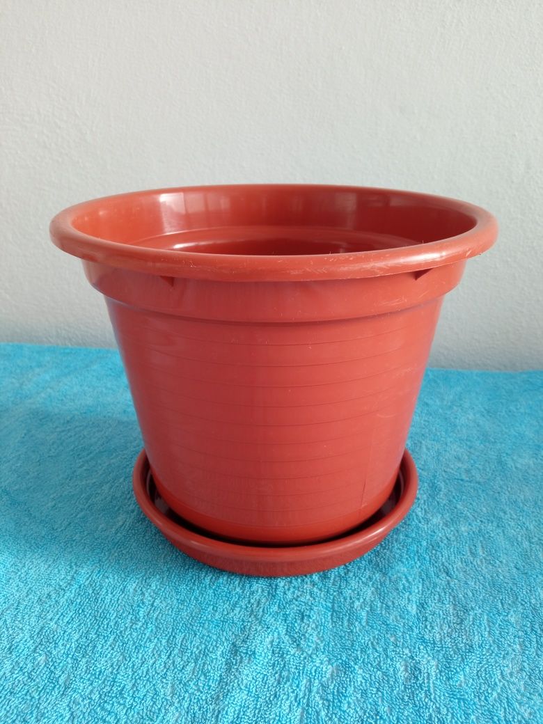 Vasos para plantas de médio porte