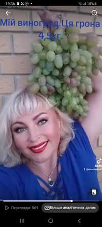 Високоякісні сорти винограду
