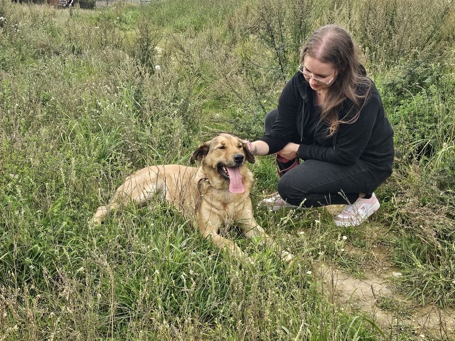 Proszę o dom dla psa Nemo